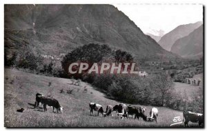 Old Postcard The Valley of the Alps Cows in Pasture Severassie A Left Saint F...