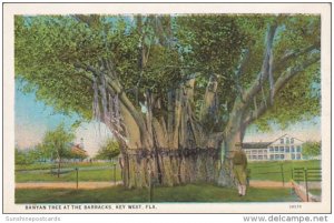 Florida Key West Banyan Tree At The Barracks Curteich