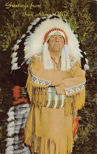 Chief Brown Eagle of the Chippewa Indian tribe Iron River, Wisconsin, USA Ind...