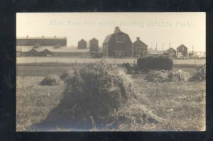 RPPC PRINCETON ILLINOIS FARM FARMING ALFALFA FIELD REAL PHOTO POSTCARD