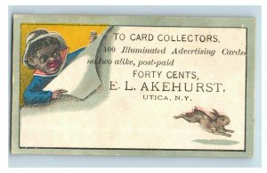 1870s-80s Illuminated Advertising Cards E.L Akehurst Owl Bird Dog Lot Of 6 P201 