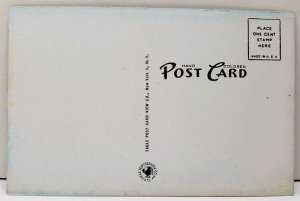 Belvidere NJ Hand Colored A View of Mountain Lake Postcard E2