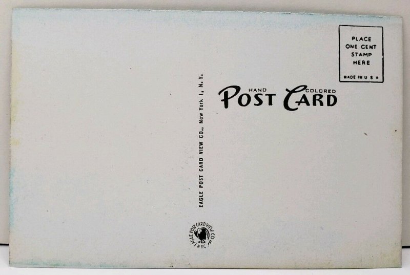 Belvidere NJ Hand Colored A View of Mountain Lake Postcard E2