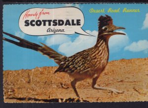 Greetings From Scottsdale,AZ Roadrunner BIN