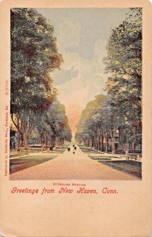 NEW HAVEN CT~HILLHOUSE AVENUE-CHISHOLM BROS PUBL GREETINGS FROM POSTCARD 1900s