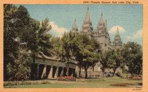 Vintage Postcard Temple Square Trees  Grounds Tabernacles Salt Lake City Utah UT