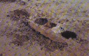 Maine Freeport Colored Sand Bed