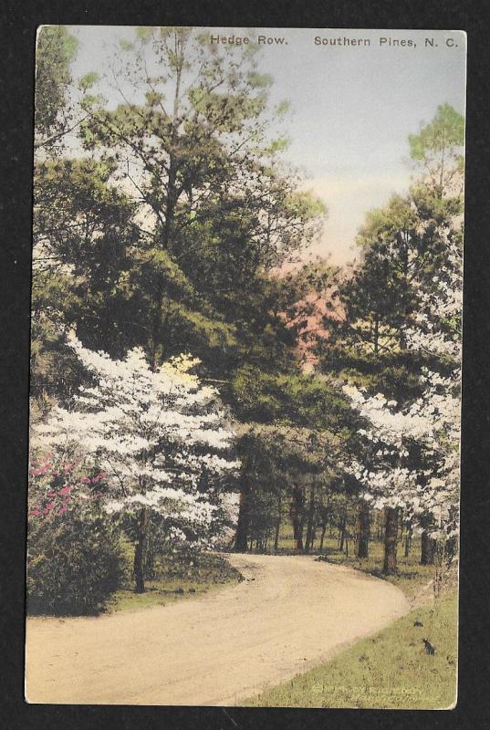 Path View Hedge Row Southern Pines North Carolina Unused c1930s