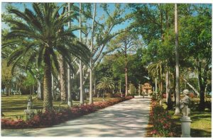 Azaleas, Ringling Residence, Sarasota, Florida, Vintage Chrome Postcard