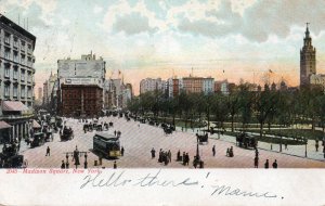 13252 Trolley Cars & Horse Cars at Madison Square, New York 1908