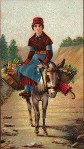 1870s-80s Girl On Donkey Work Done on Domestic Sewing Machine Victorian Card F21