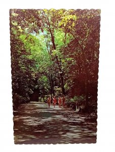 Group Of Girls Walking Through Fern Gully Ocho Rios Jamaica Vintage Postcard