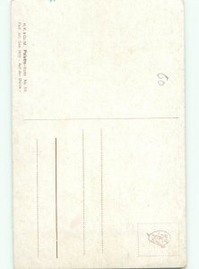 Divided-Back ANIMAL SCENE Great Postcard AA9501