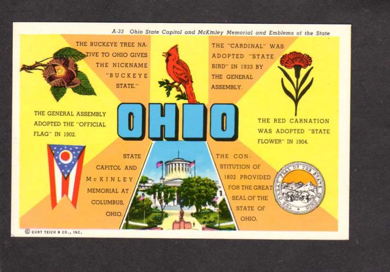 OH Ohio State Bird Cardinal Flower Red Carnation Seal Buckeye Tree Postcard