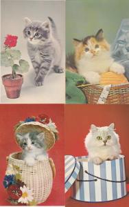 (4 cards) Cute Kittens Cats - Flowers Baskets Hats