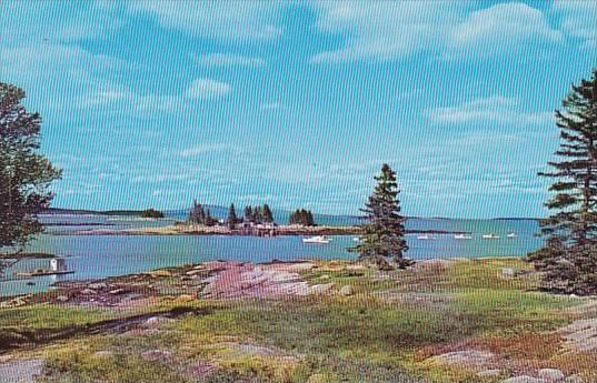 Maine Mount Desert Island Scenic View At Sunshine Deer Isle