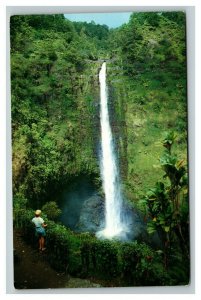 Vintage 1960's Postcard Woman Overlooks the Akaka Falls Big Island of Hawaii