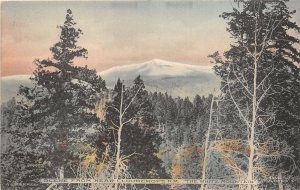 J30/ Cloudcroft New Mexico Postcard c1910 The White Mountain Scene  258