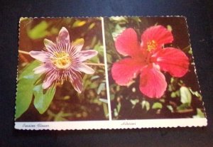 VINTAGE POSTCARD - 1980 USED - PASSION FLOWER & HIBISCUS