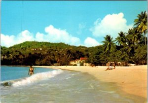 VINTAGE CONTINENTAL SIZE POSTCARD GRAND ANSE BEACH AND $5 DOLPHINS MINI SHEET