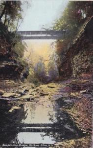 New York Watkins Glen Suspension Bridge 1910