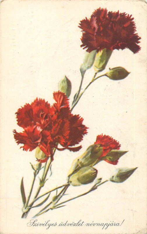 Lot of 3 greetings postcards Hungary flowers 1960`s 