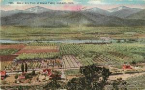 Birdseye View Grand Valley Orchards Colorado 1912 Farm agriculture Postcard 4094