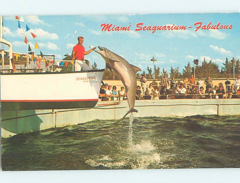 Pre-1980 SEAQUARIUM SCENE Miami Florida FL AF9481@