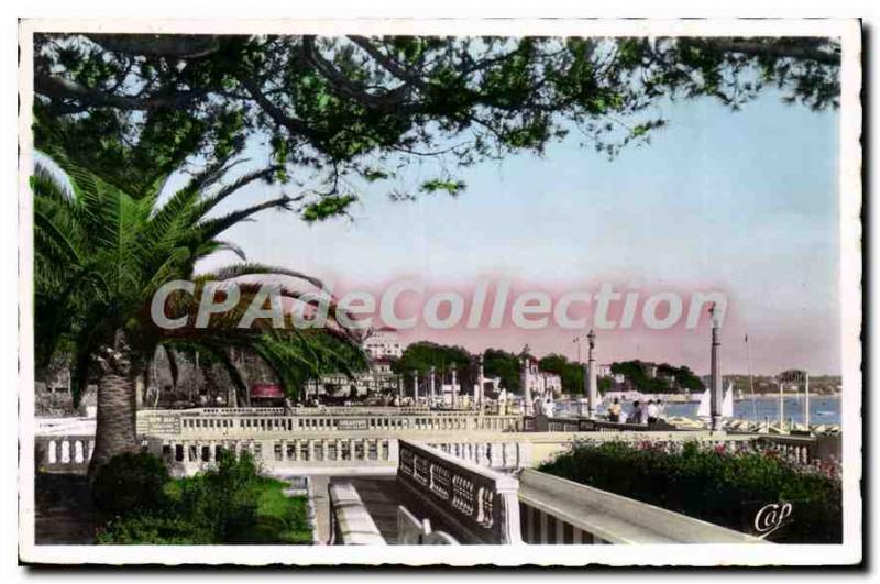 Old Postcard Juan Les Pins The Terraces Du Grand Pin