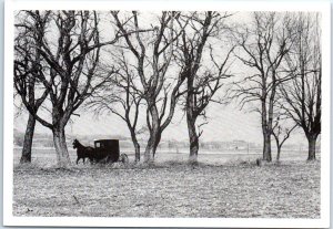 Postcard - Amish buggy on a Lancaster County road - Pennsylvania