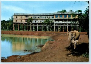 NYERI, KENYA ~ Elephants at Watering Hole TREETOPS LODGE Hotel  4x6 Postcard