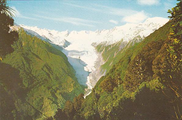 New Zealand Franz Josef Glacier South Westland