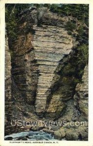 Elephant's Head in AUSA ble Chasm, New York