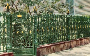 10630 The Cornstalk Fence, Royal Street, New Orleans, Louisiana 1953