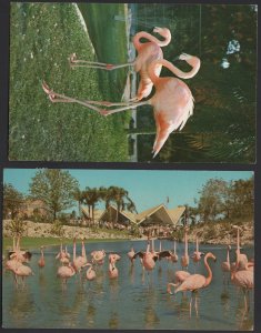 Lot 2 PCs FL Flock of Colorful Flamingos - Bush Gardens, Parrot Jungle ~ Chrome