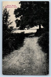 Bonaparte Iowa IA Postcard River Road Grass And Trees Scenic View 1911 Antique