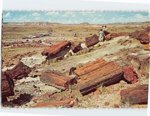 Postcard Petrified Forest National Monument Arizona USA