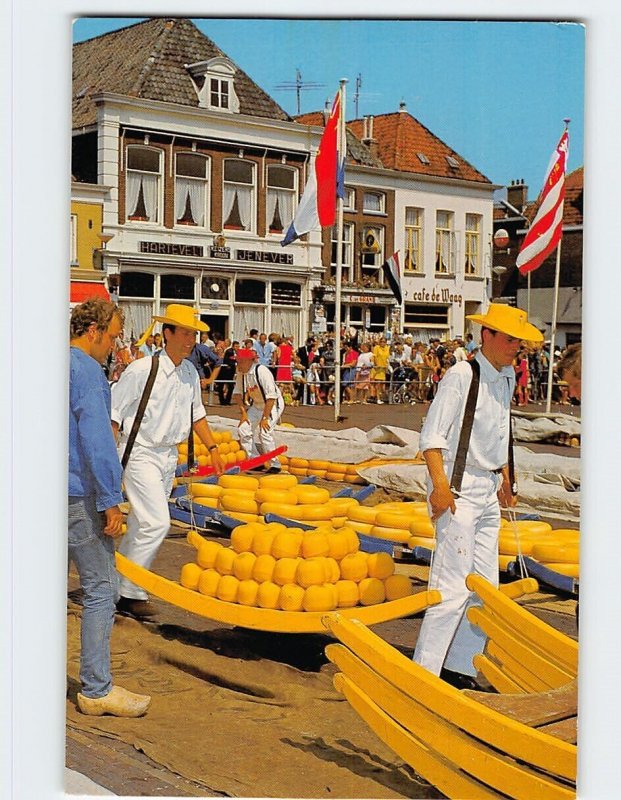 Postcard The well-known Cheese-market of Alkmaar, Netherlands