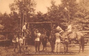 Horses at Camp Puh'Tok Monkton, Maryland MD Postcards