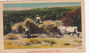 Ohio Greetings From Cygnet 1940