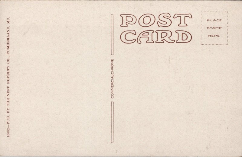 Post Office Cumberland MD Postcard PC518