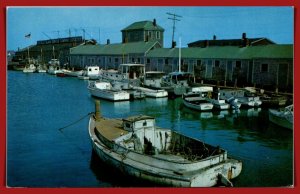 Massachusetts, Nantucket - Scallop Boats At Straight Wharf -  [MA- 1017]