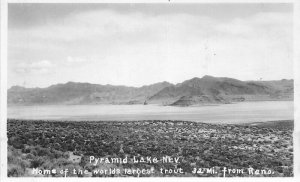 Nevada Pyramid Lake Trout 1920s RPPC Photo Postcard 22-4723