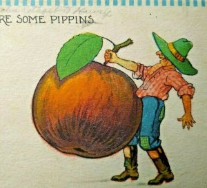 Vintage Postcard Farmer And Giant Apple Pippins Barton Spooner 133 Farmville VA