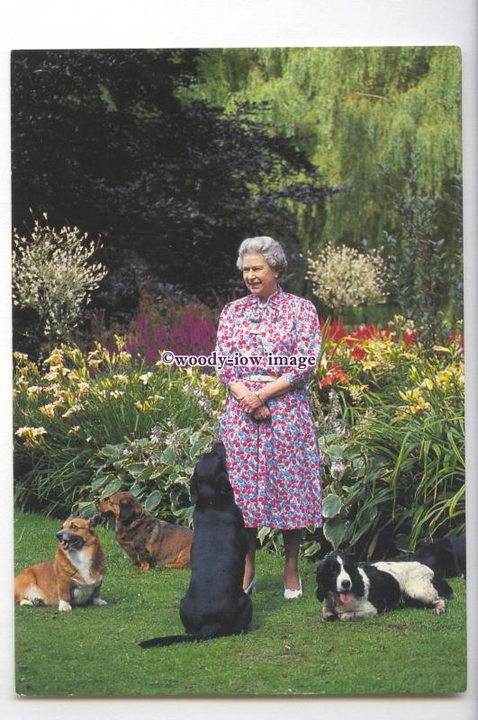 er0249 - The Queen with Four of her Dogs in the Sandringham Garden - postcard