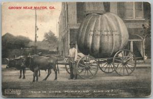 MACON GA PUMPKIN EXAGGERATED 1910 ANTIQUE POSTCARD