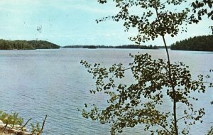 Postcard 1965 Portage Bay Camp Lake Of Woods & Shoal Lake Oak Island Minnesota