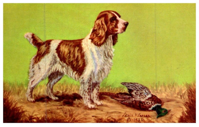 Dog , Cocker Spaniel , dead Pheasant