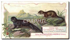 Chromo Chocolaterie d & # 39Aiguebelle Predators rodents Enhydre navy Muskrat...