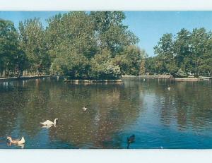 Unused Pre-1980 PARK SCENE Great Falls Montana MT hk5709